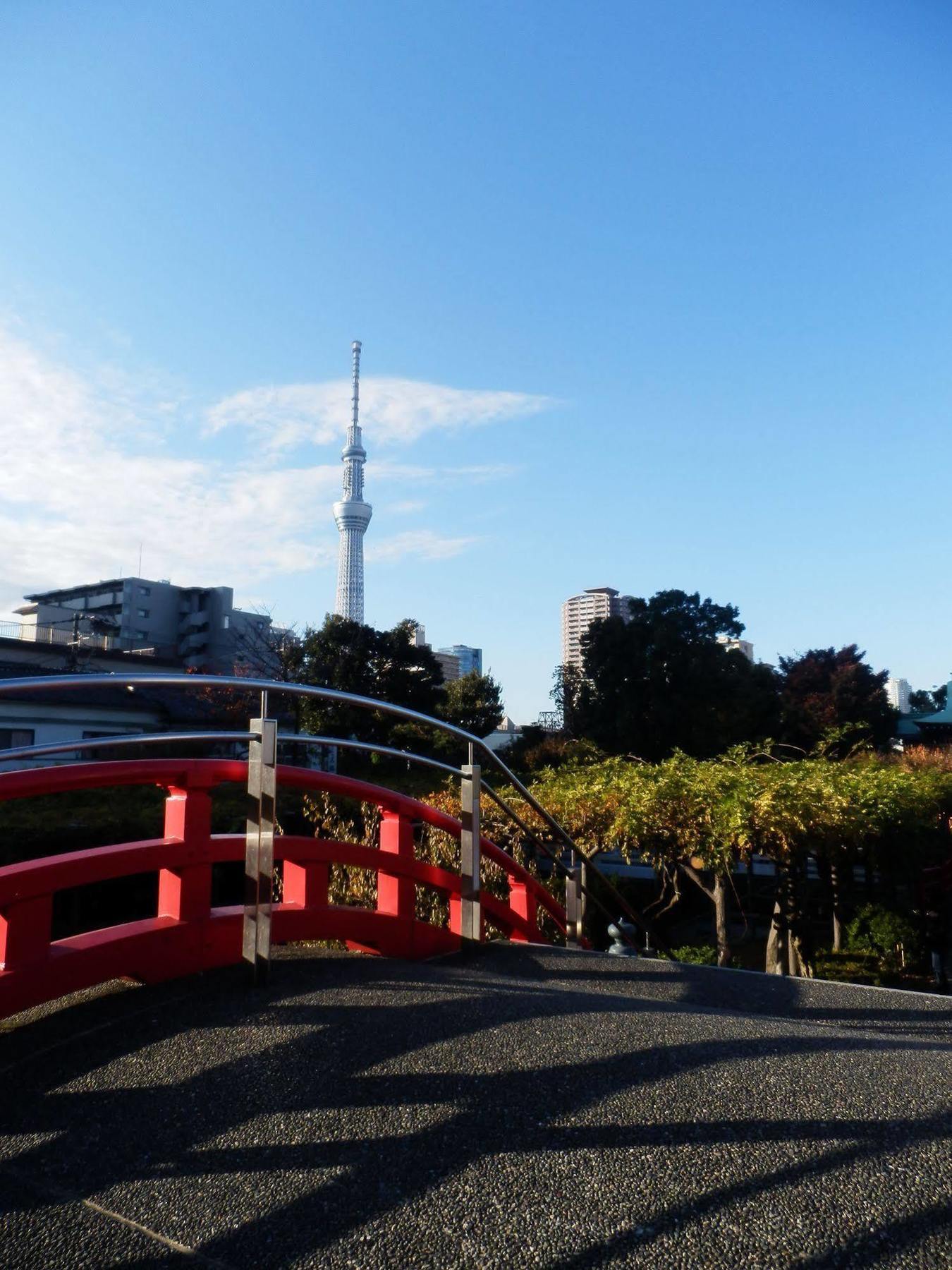 Excel City Hotel Kameido Tokyo Eksteriør billede